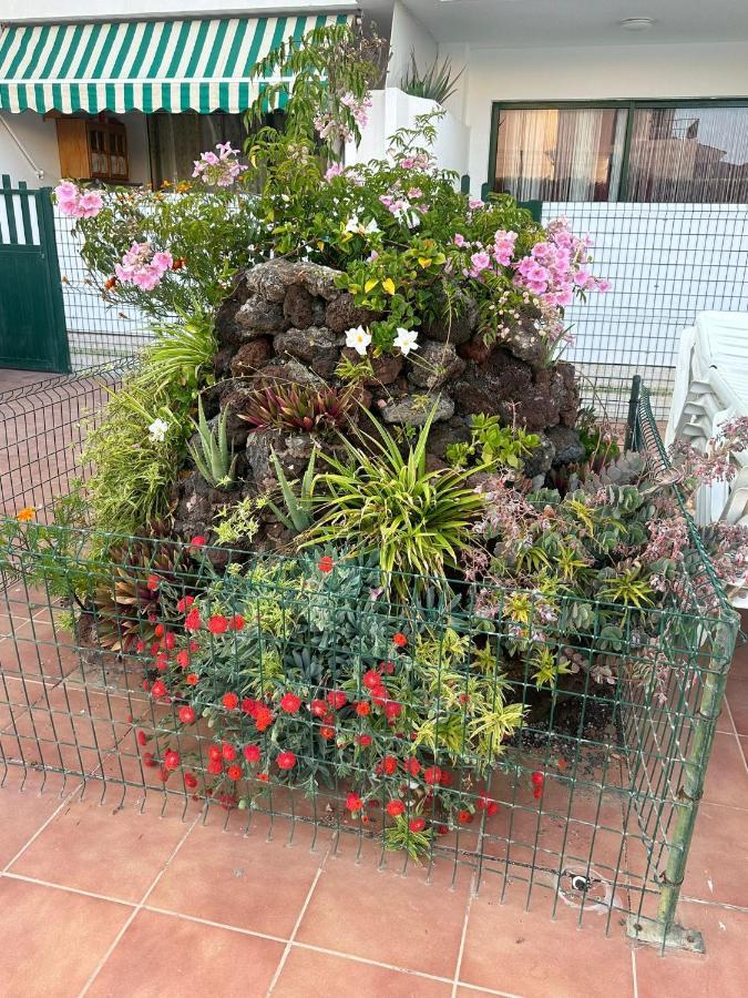 Maspalomas San Bartolomé Екстериор снимка